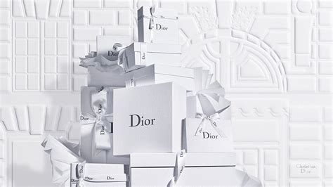 dior sress|dior website.